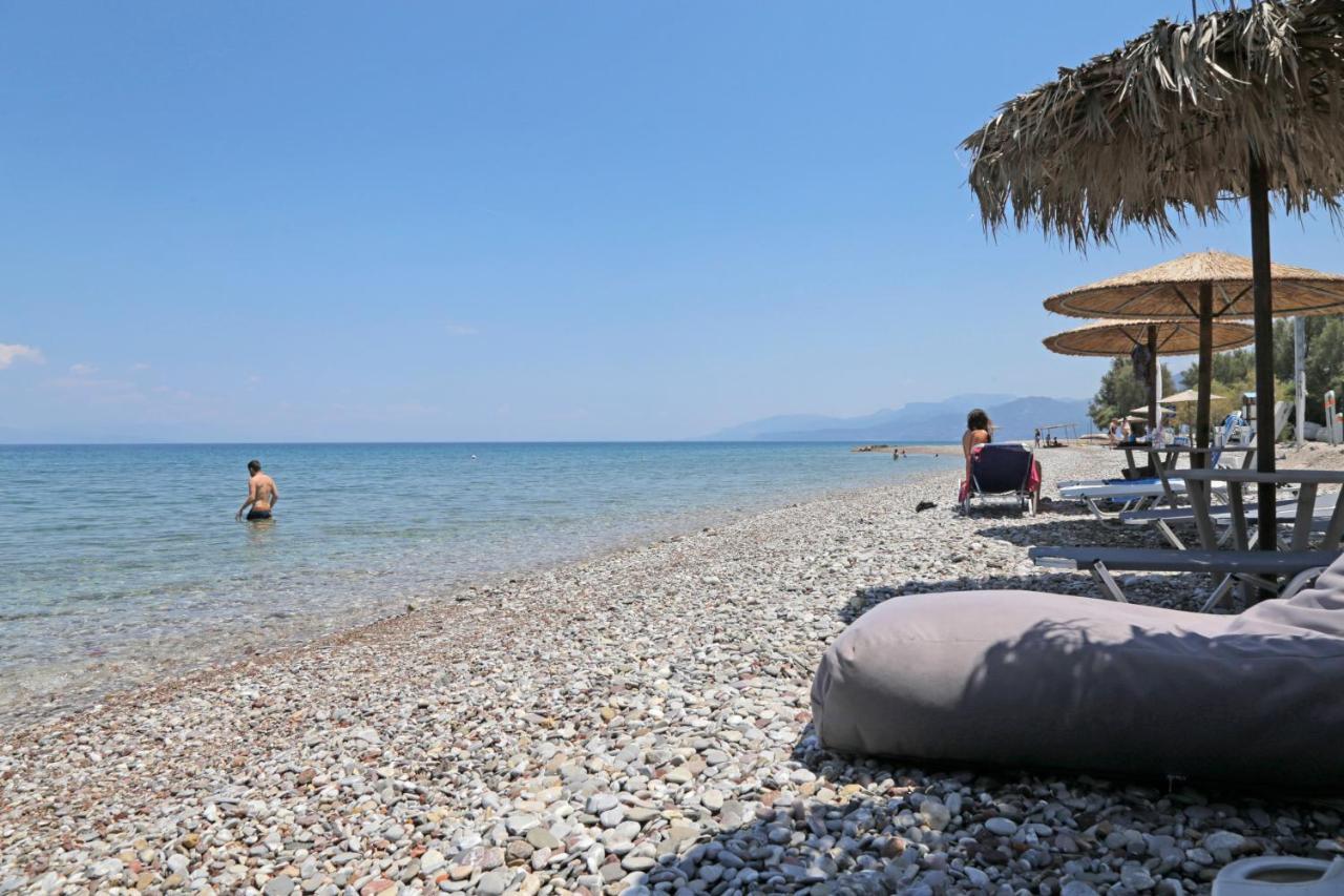 Oliva Holiday Homes Dhiyellótika Eksteriør bilde